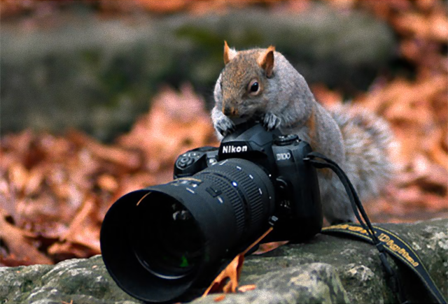 photographers22_e