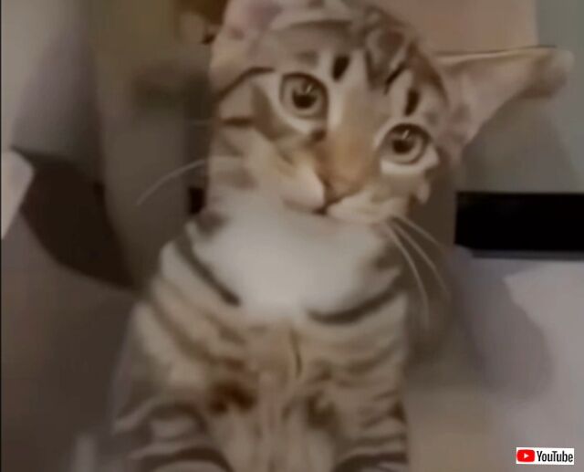 20230920_034812_batch