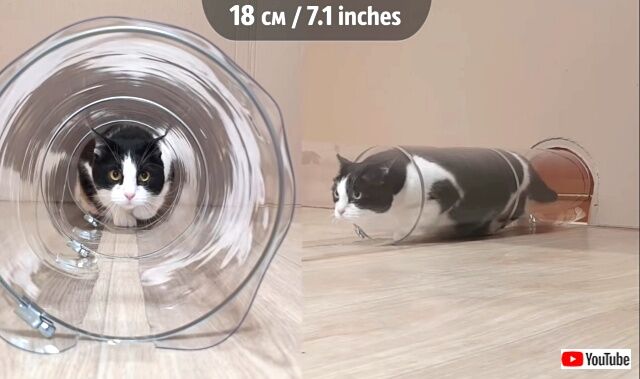tube4_640