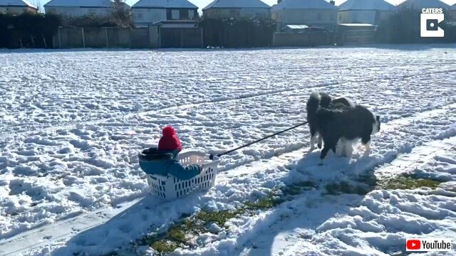 sledding3_640