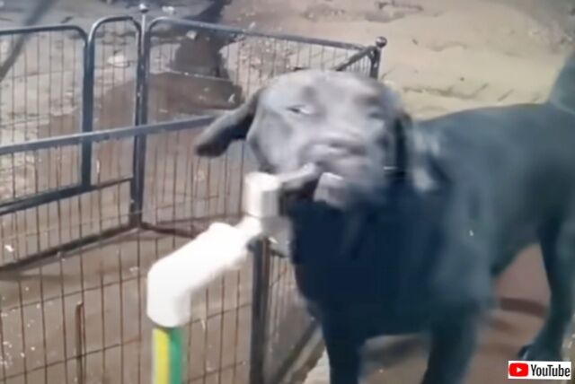 20231112_064622 (2)_batch