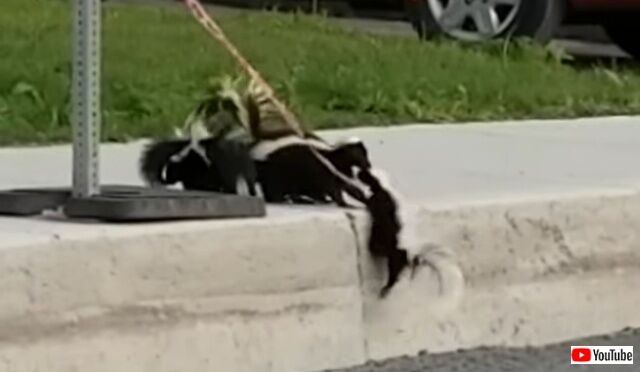 20220509_114912 (5)_batch