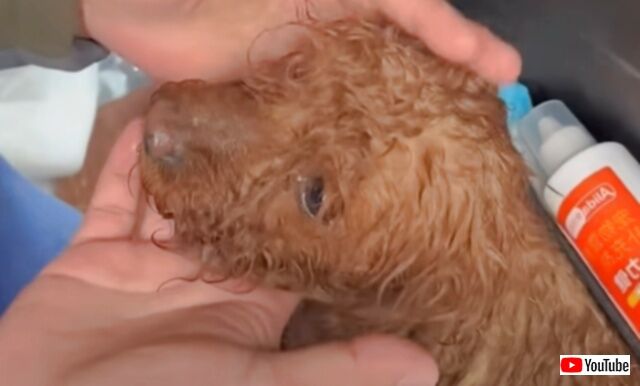 20240325_101142 (2)_batch