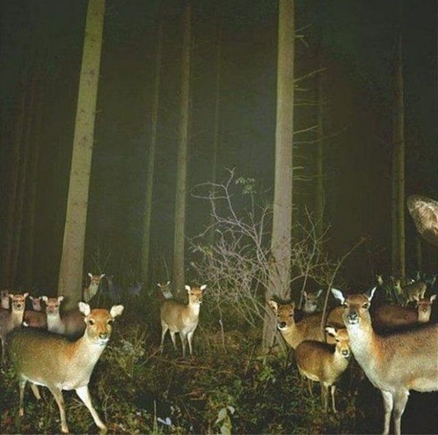 hiddencam5_e
