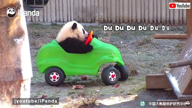 jdrivingpanda7_640