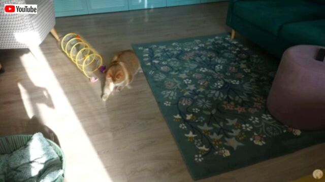 20230910_180233_batch