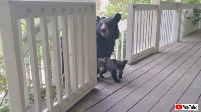 20230429_170105 (2)_batch