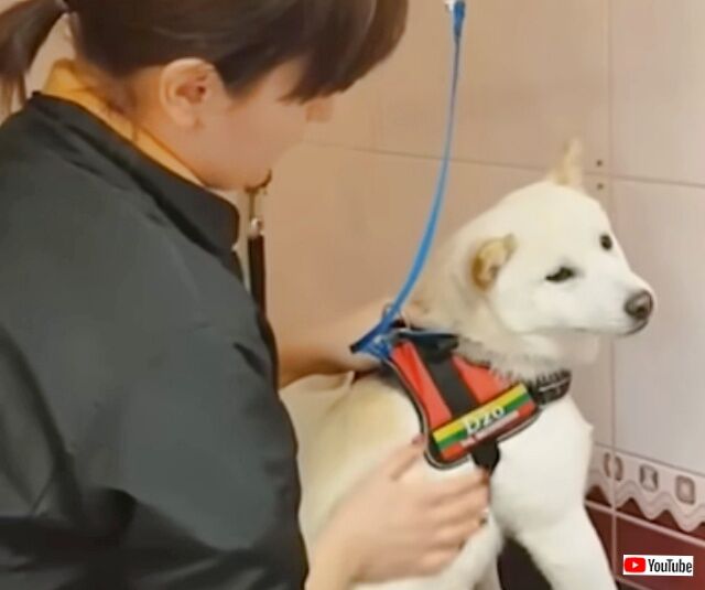 20230320_114354 (2)_batch