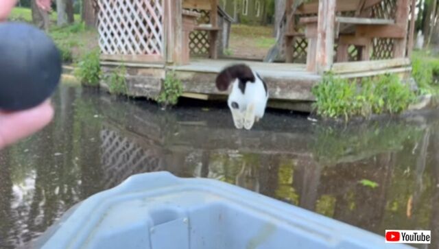 20230708_115529 (4)_batch