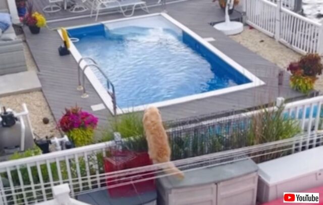 20231005_120854_batch