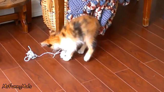 yarn3