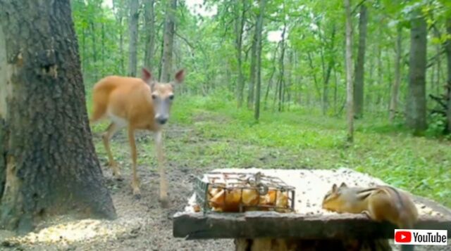 20240114_070335_batch