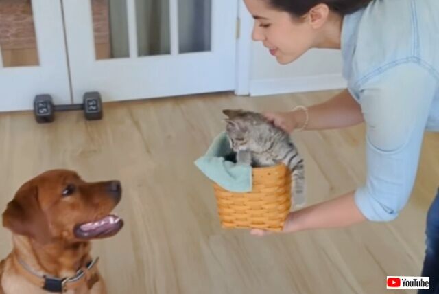 20230916_115538 (2)_batch