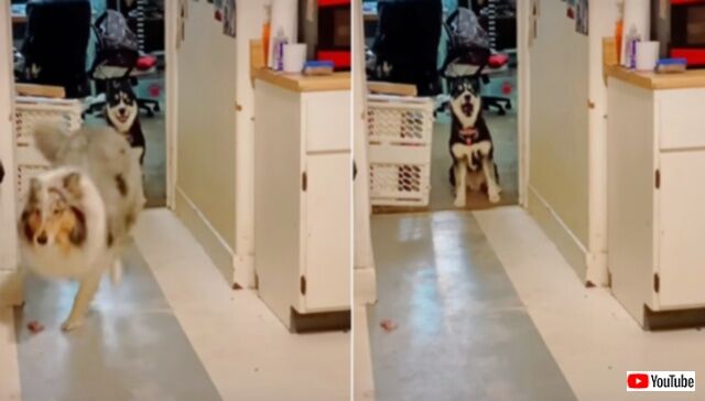 20240315_063550 (3)_batch