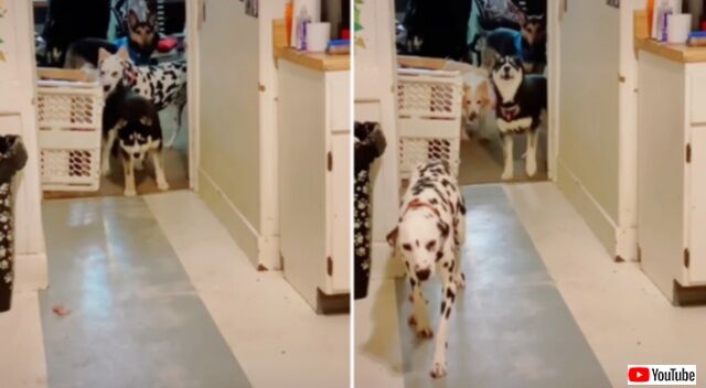 20240315_063549_batch