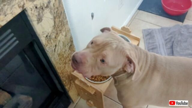 20231220_115932 (6)_batch