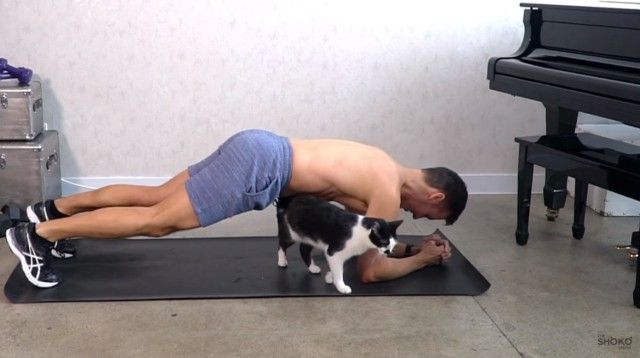 catsnexercise5_e