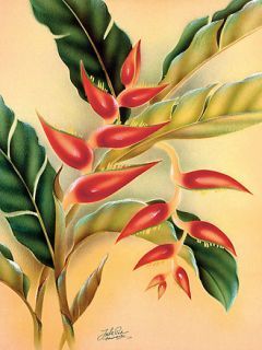 heliconia-prta281