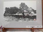 DSCN3080