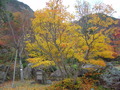 DSC02916