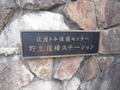 DSCN3042