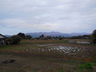 DSCN1963