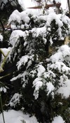 IMG_20221219_100159