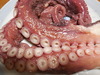 DSCN2466