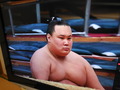 DSCN2741