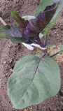 IMG_20230508_134846