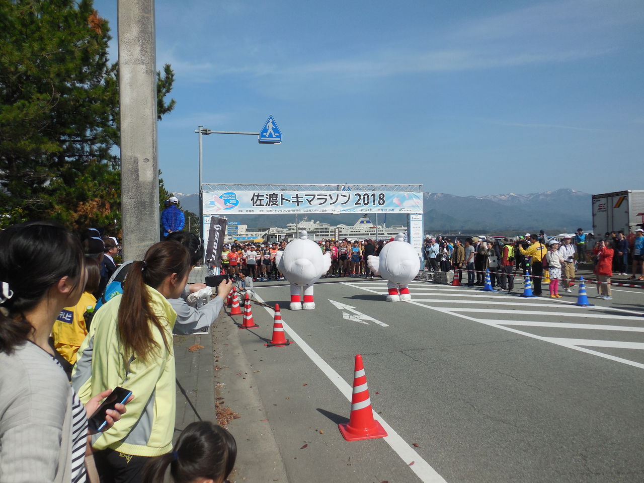 久々 出場は 佐渡トキマラソン 佐渡 新潟 活性化日誌