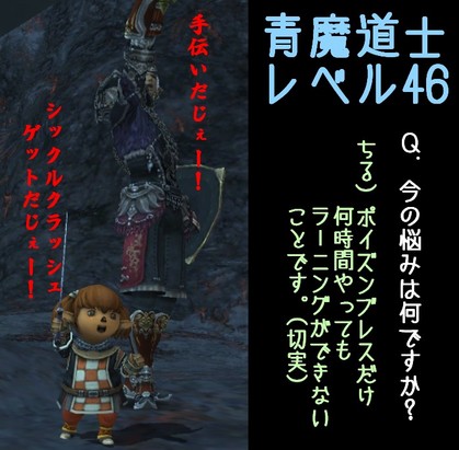 あおまどうし46