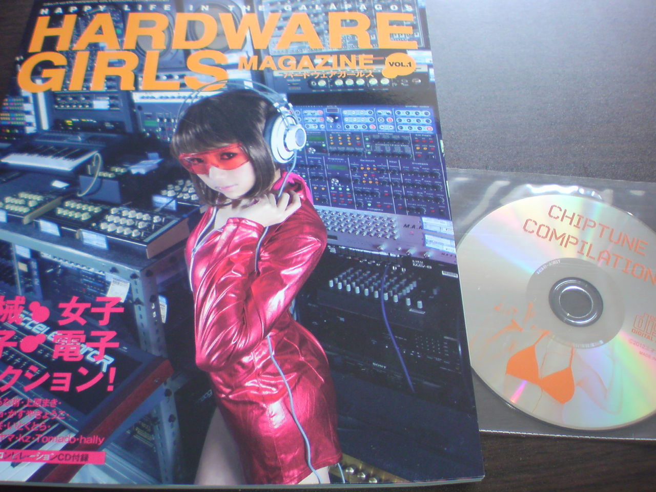 Hardware Girls Magazine 三才ブックス Julie Watai 天野あい コレクターマーボー流