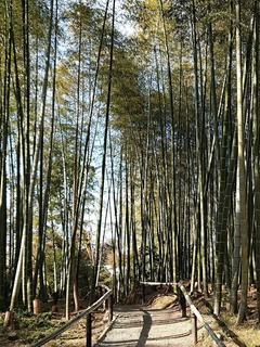 高台寺⑧