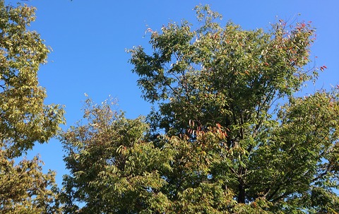 10月初旬の空