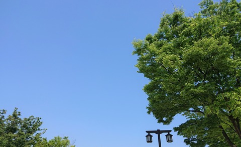 5月の空①