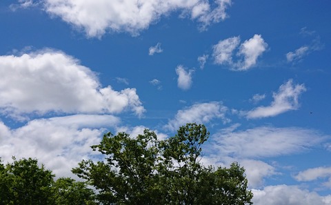 6月初旬の空①