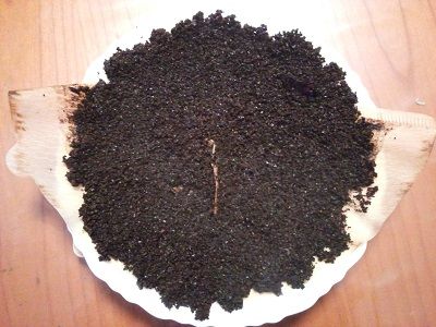 コーヒー豆のカス5