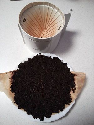 コーヒー豆のカス2