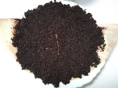 コーヒー豆のカス3