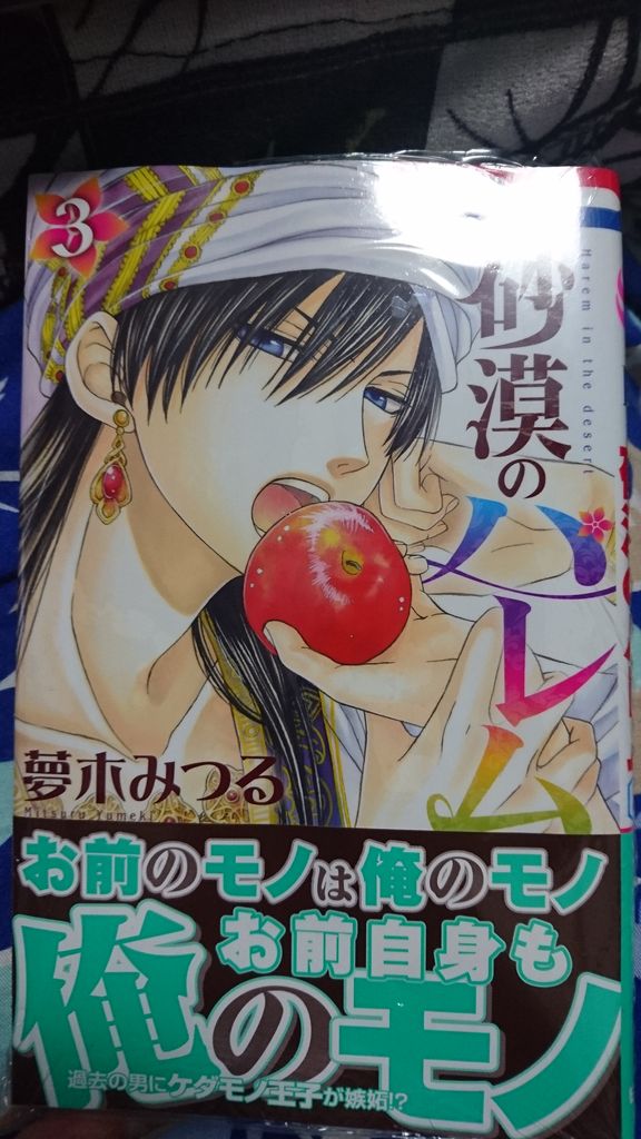 One Piece 進撃の巨人 砂漠のハレム きぃのblog One Piece 進撃の巨人 砂漠のハレム きぃのblog