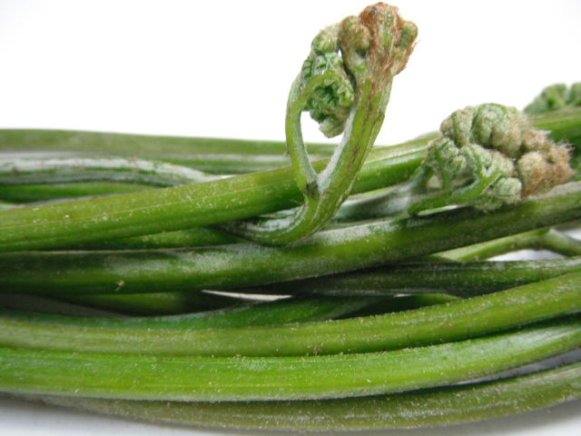 山菜わらびレシピ 重曹無しで簡単アク抜き シフォンの香り