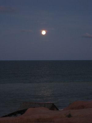 IMG_1330