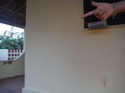 DSCF6635