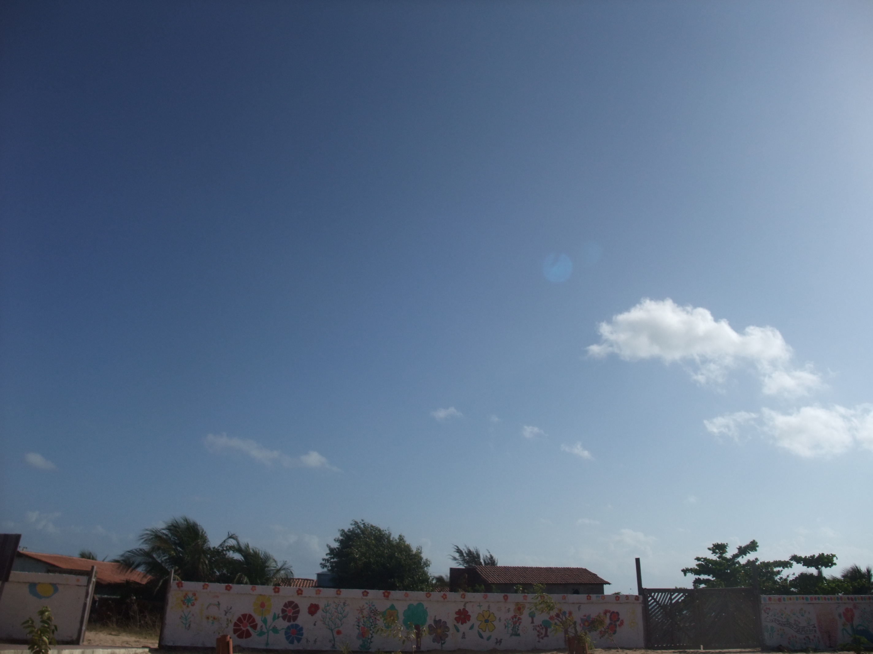 DSCF0257