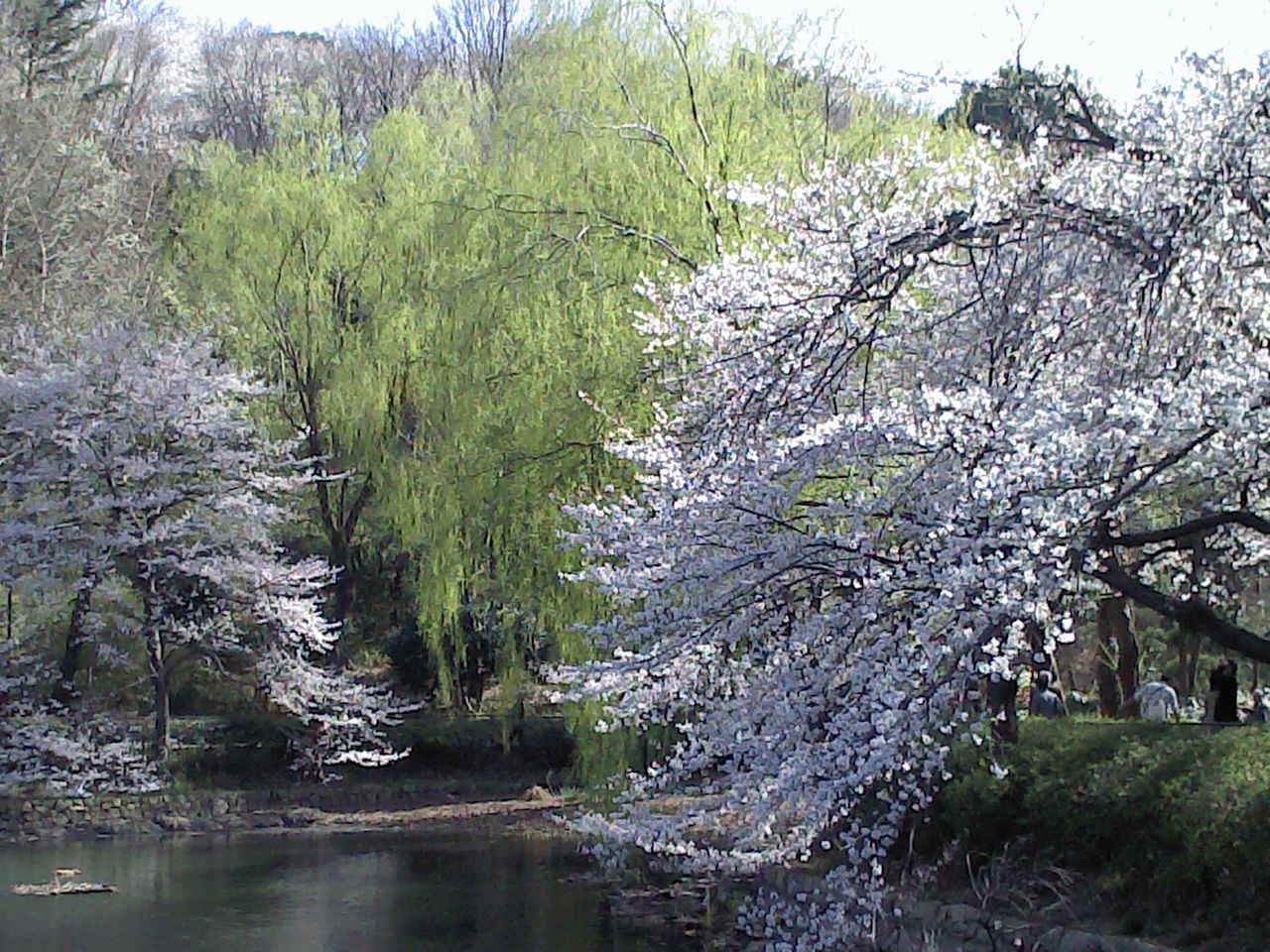 Picture032213_144045