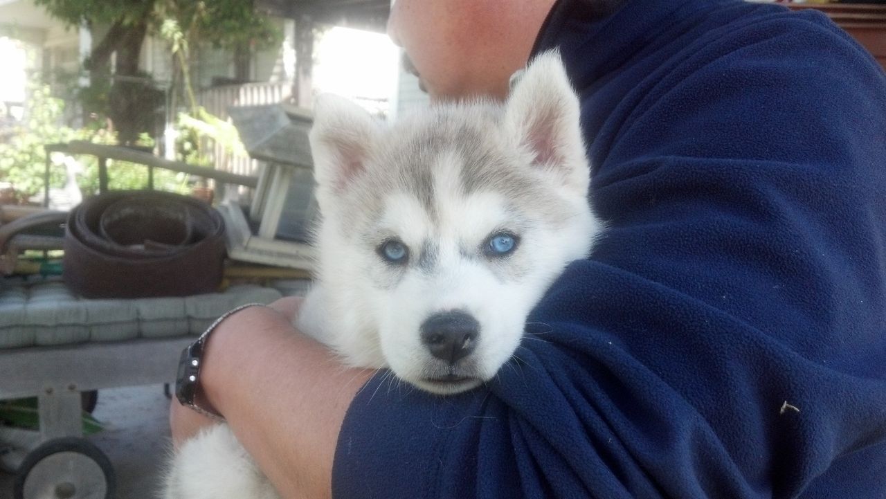 はじめまして 気ままにシルバーレイク