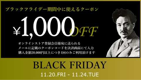 BlackFridayCoupon20112024_001