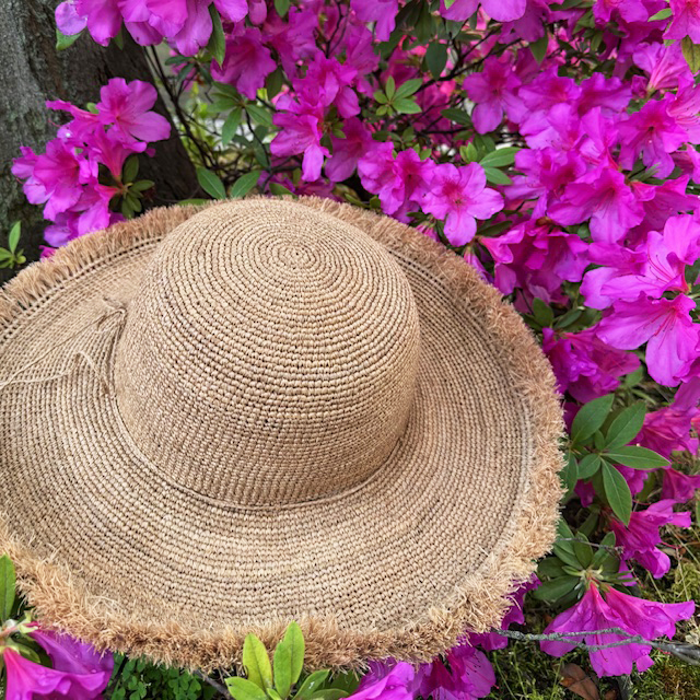 IMG_4969