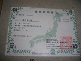 植林証明書